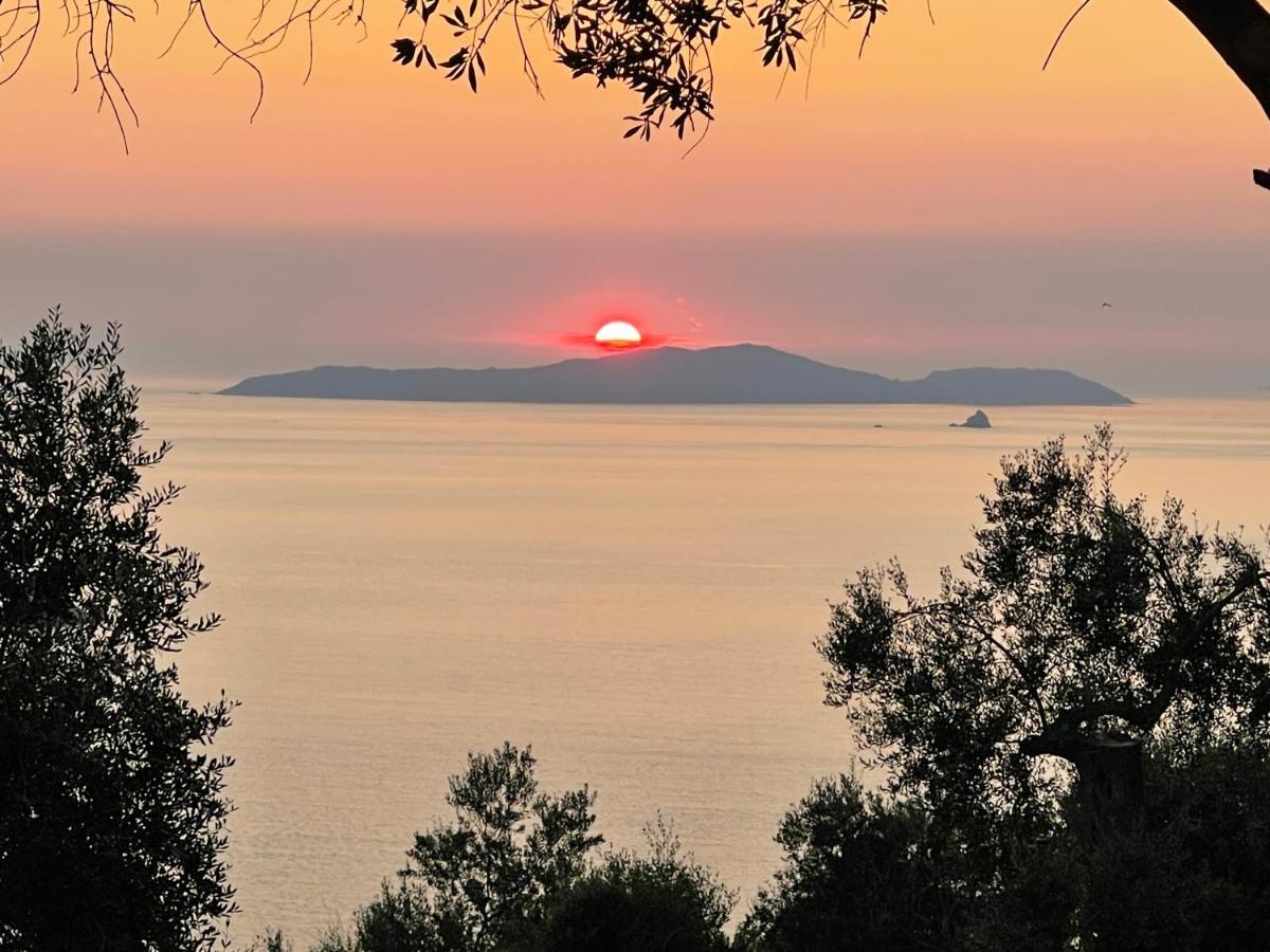 Arillas Hillside Villa 3 - Provence Ngoại thất bức ảnh